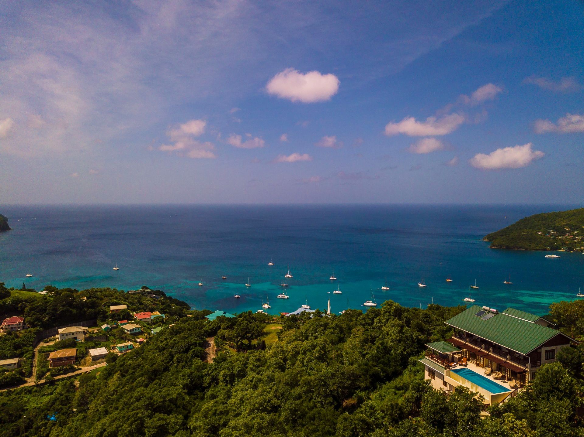 Picture of Sunbird, Bequia