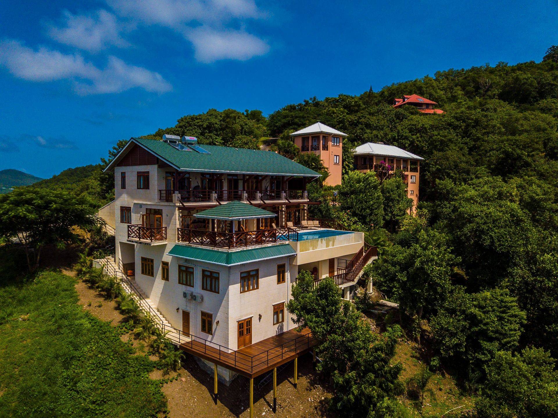 Picture of Sunbird, Bequia