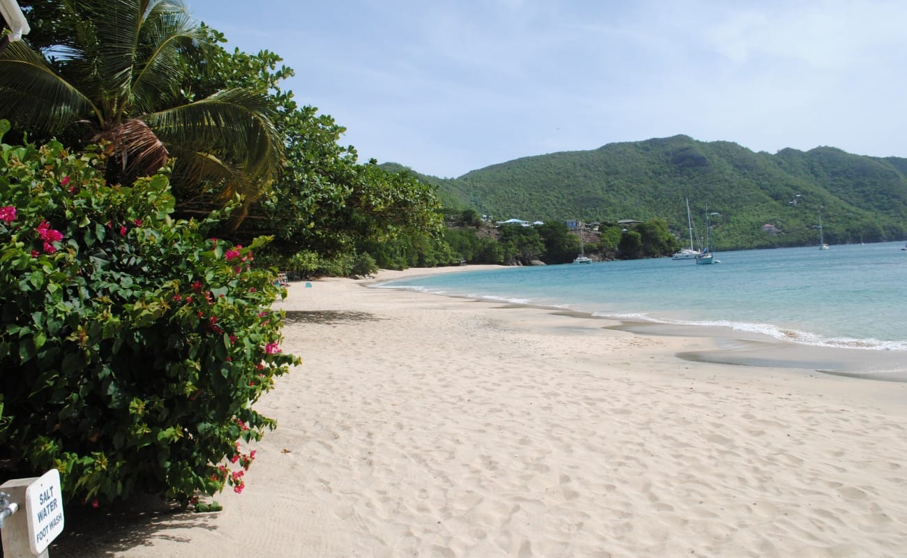 Stunning Views of Bequia Island