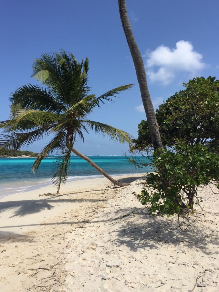 Picture of Bequia Island