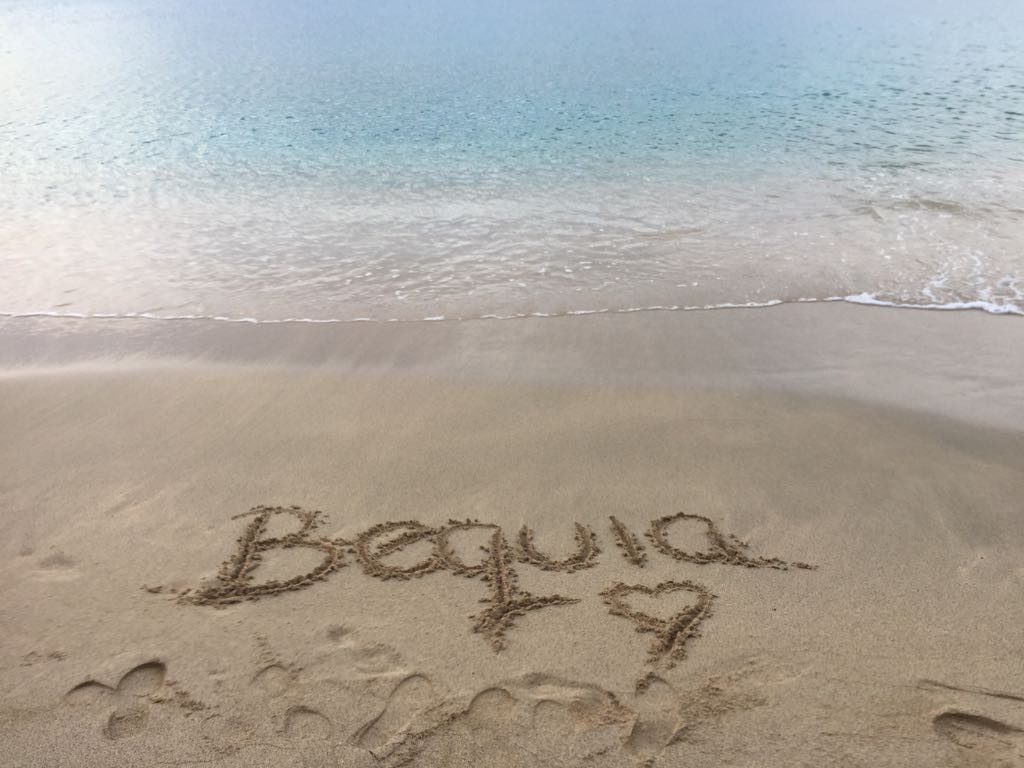 Picture of Bequia Island