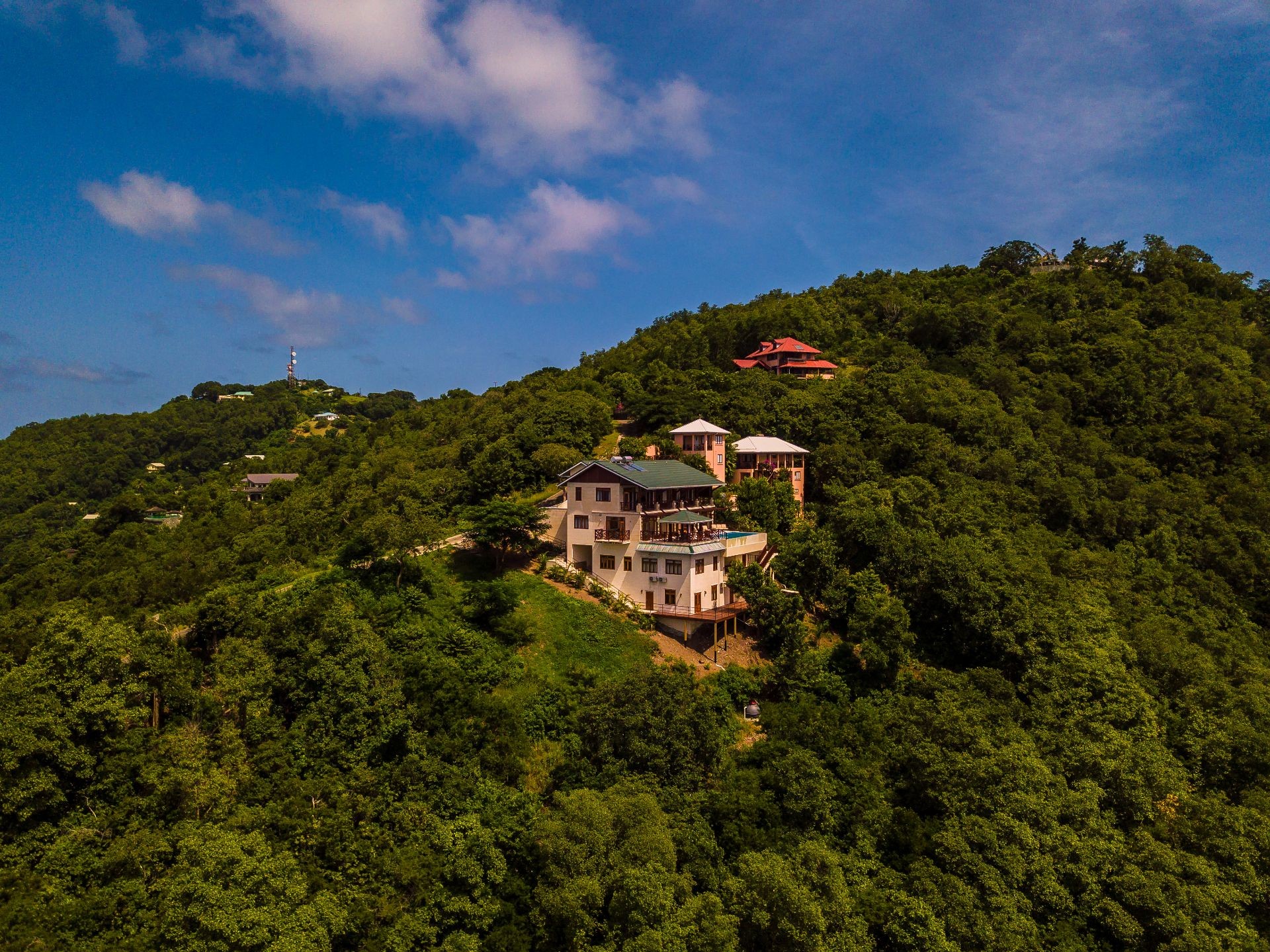 Picture of Sunbird, Bequia