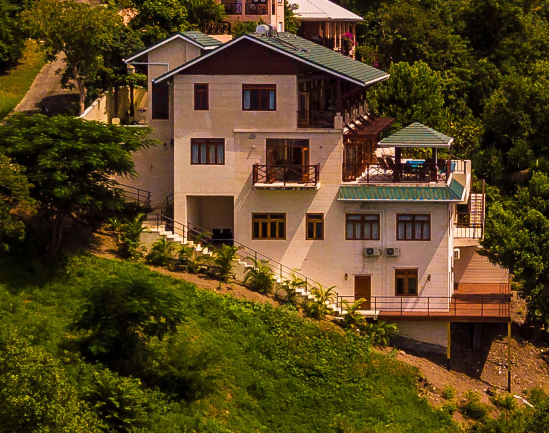 Picture of Sunbird, Bequia