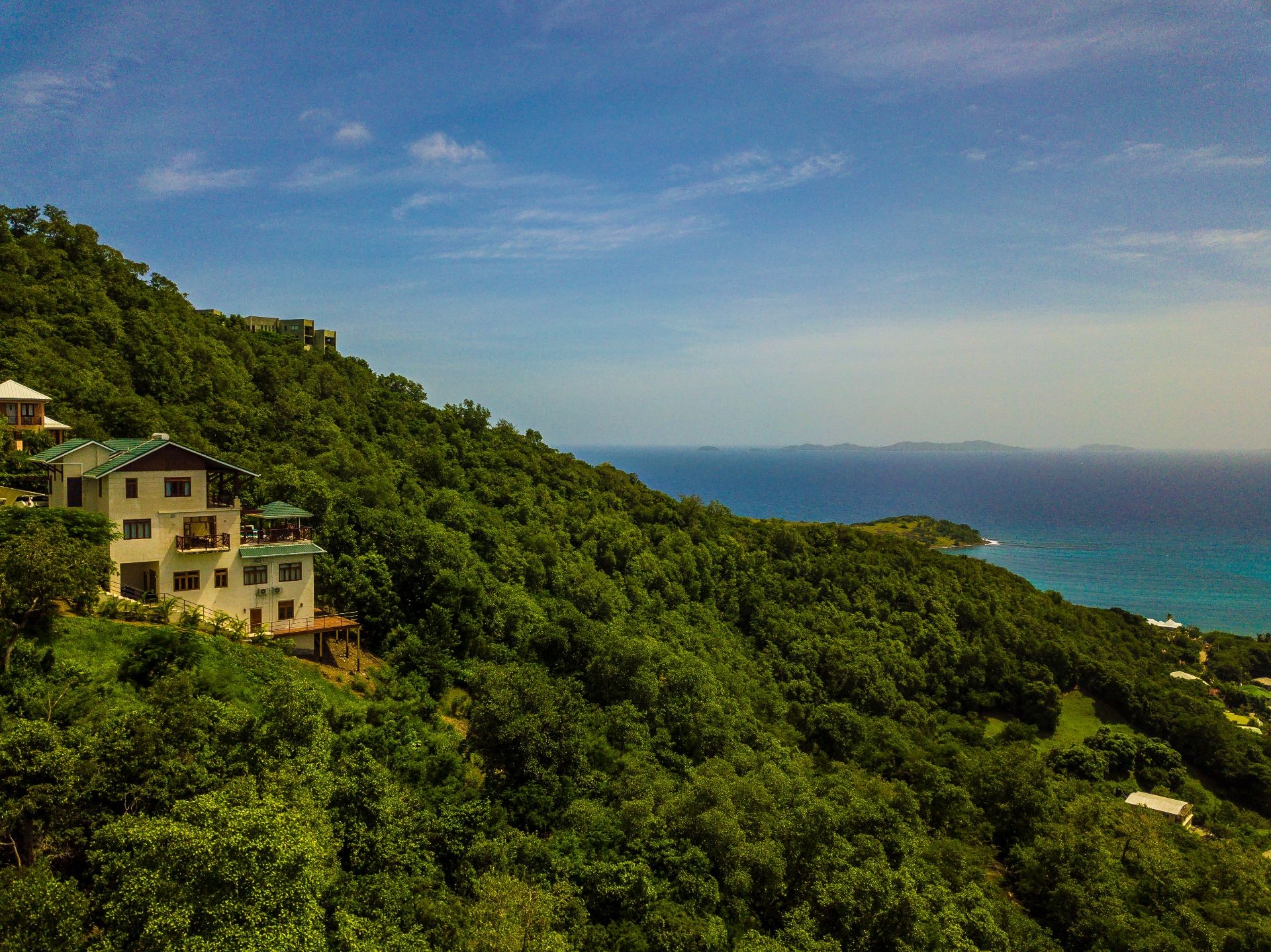 Picture of Sunbird, Bequia